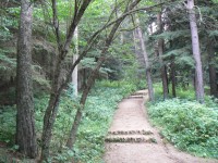 dendropark-7